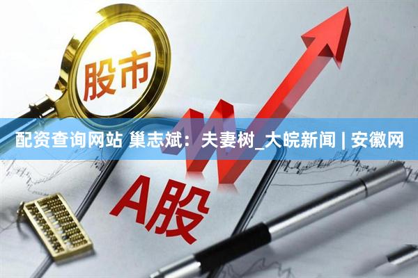 配资查询网站 巢志斌：夫妻树_大皖新闻 | 安徽网