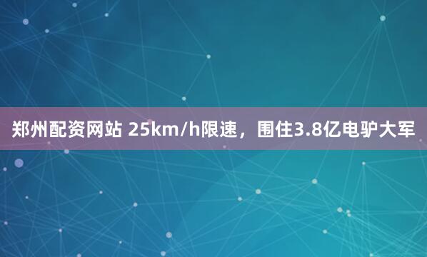 郑州配资网站 25km/h限速，围住3.8亿电驴大军